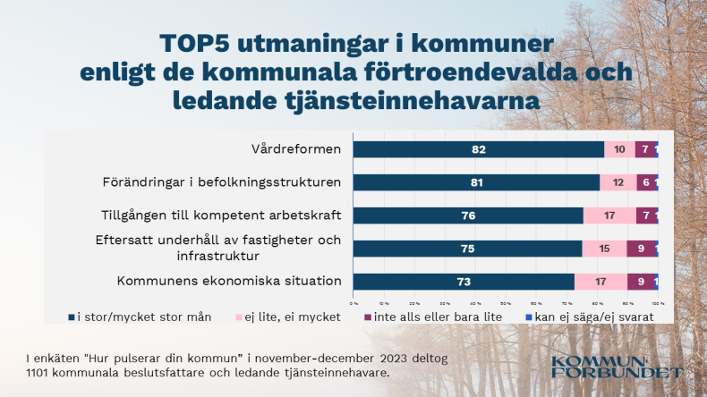 bilden visar en graf över de fem största ämnena som kommunerna oroar sig över.